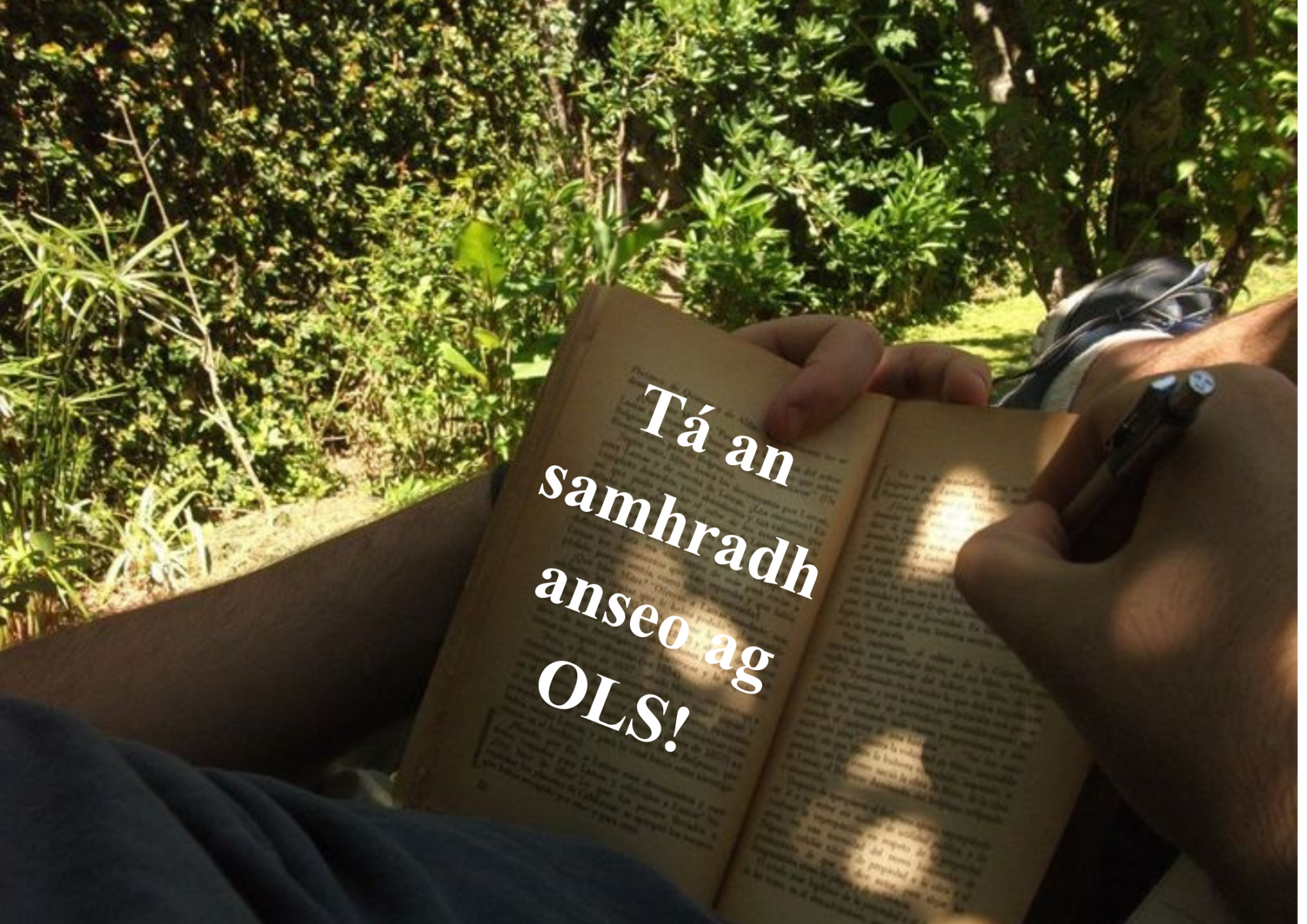Tá an samhradh anseo ag OLS!